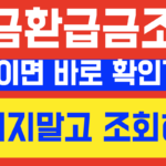 세금 환급금 조회